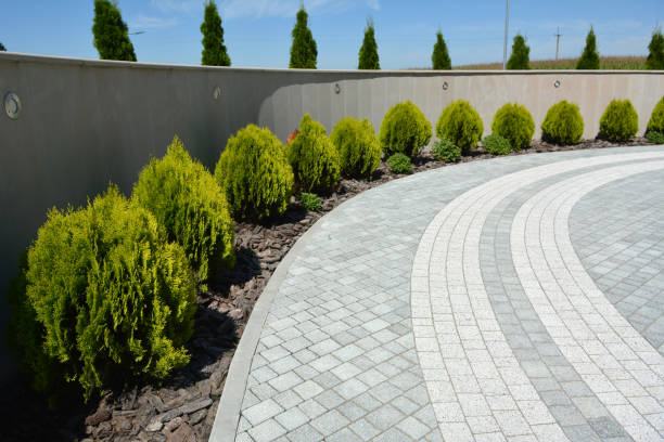 Best Driveway Repair Near Me  in Princeton, MN